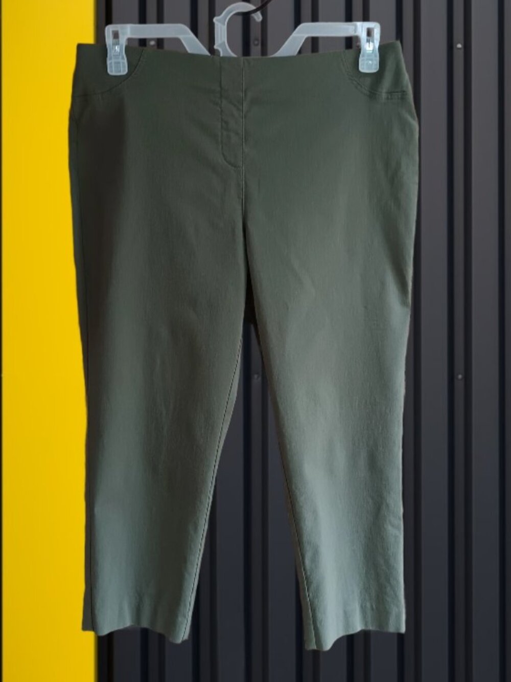 Style & Co. Womens Crop Capri Millennium Pants Pull On Elastic Green Size L